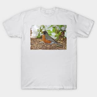 Robin Among The Flowers T-Shirt